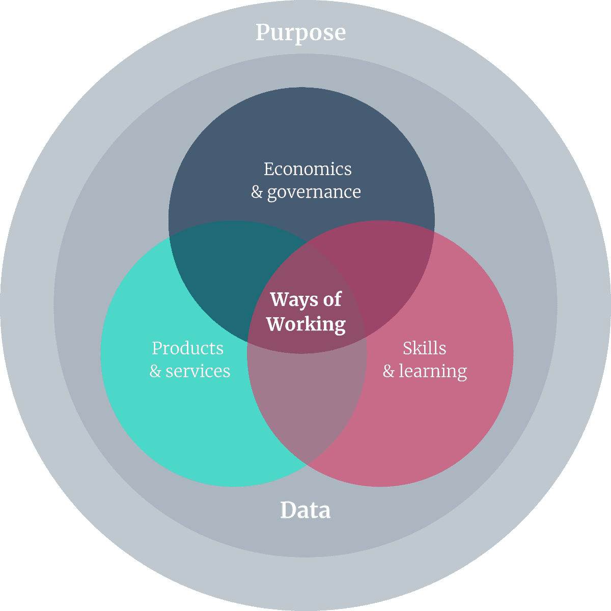 Ways of working is at the intersection of economics & governence, skills & learning and products & services